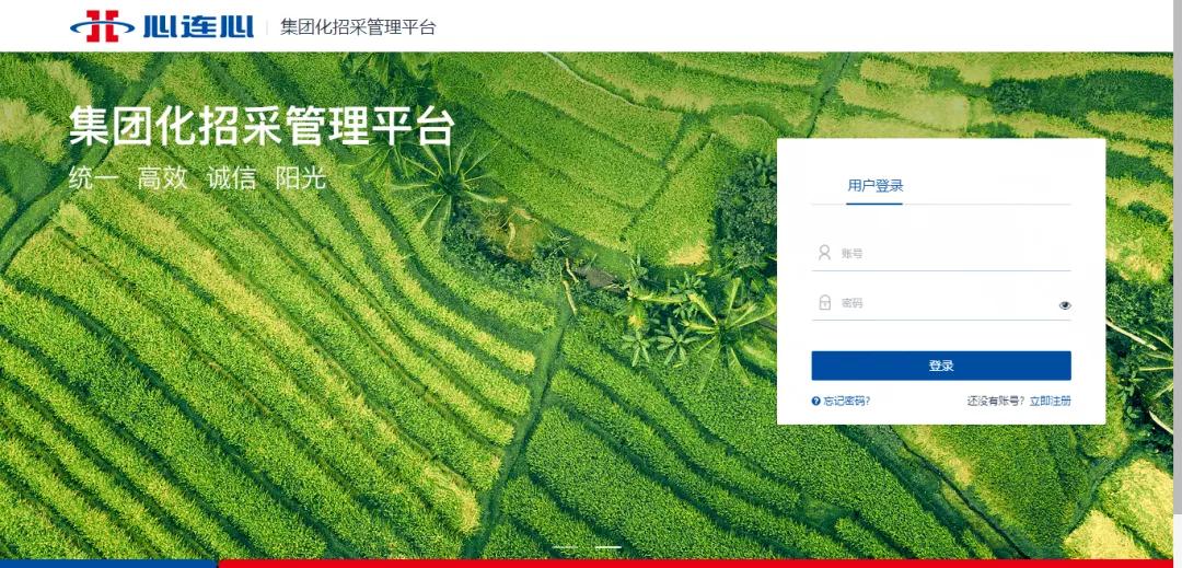 集团化招采管理平台